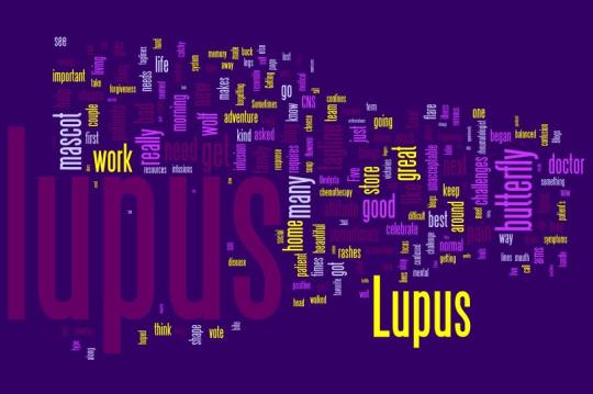 Wordle Word Cloud for Lupus Adventure Between the Lines
